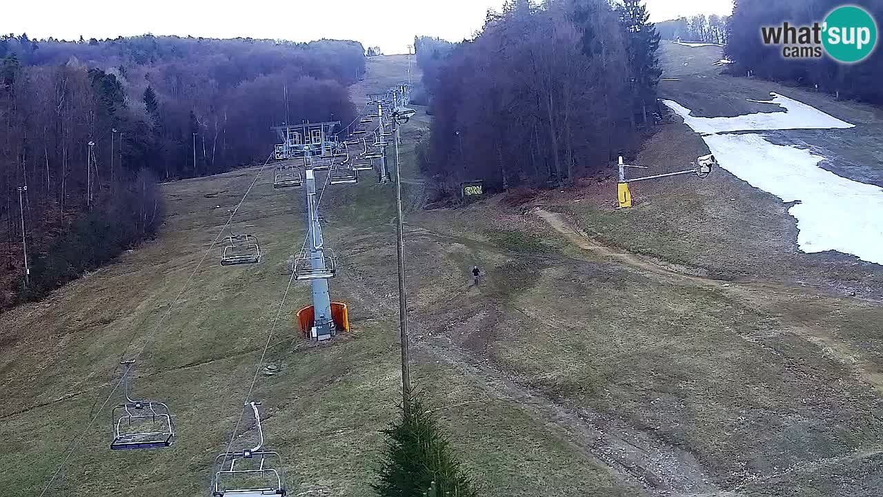 Webcam Pohorje Trikotna Jasa | Poštela