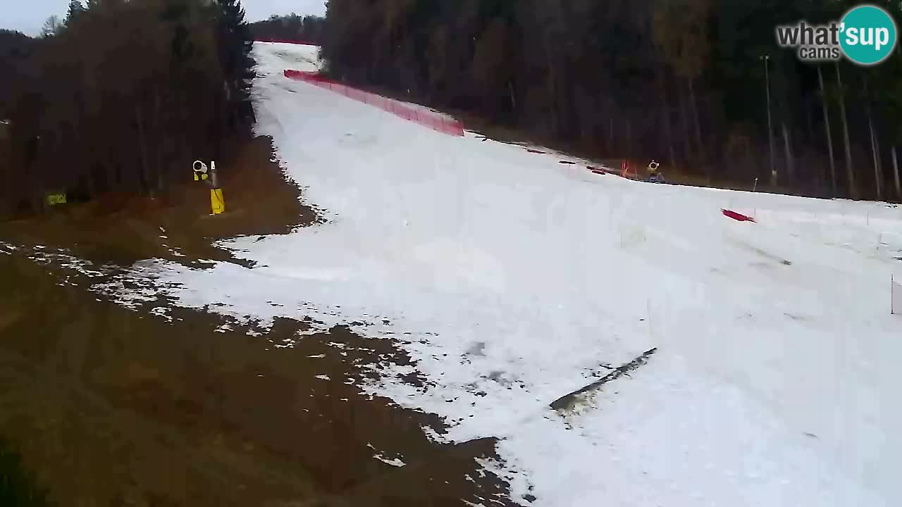 Web Camera Pohorje Trikotna Jasa | Poštela