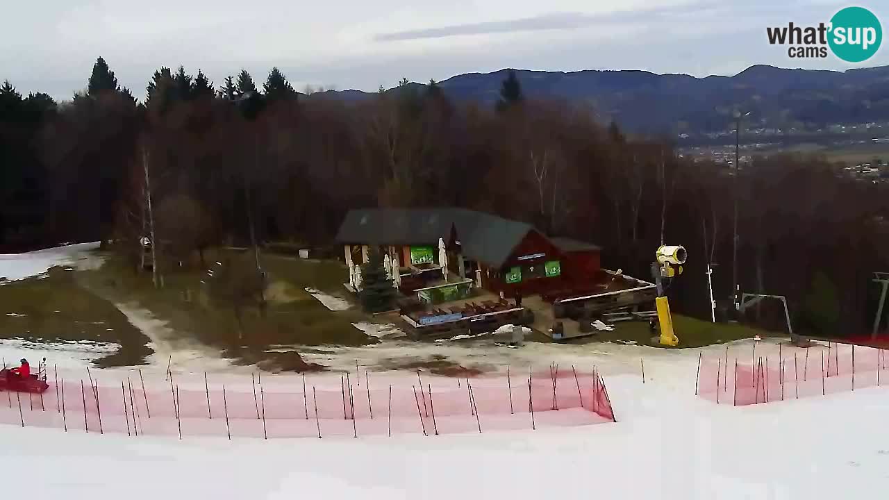 Webcam Pohorje Trikotna Jasa | Poštela