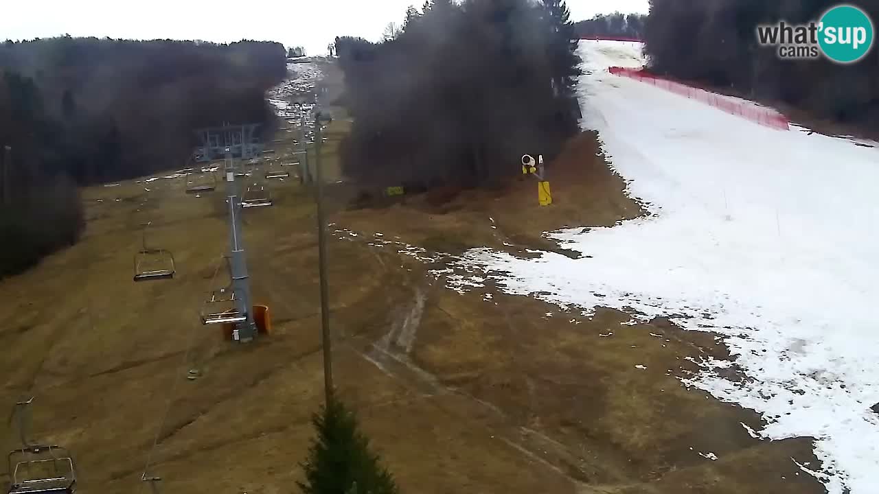 Spletna Kamera Pohorje Trikotna Jasa | Poštela