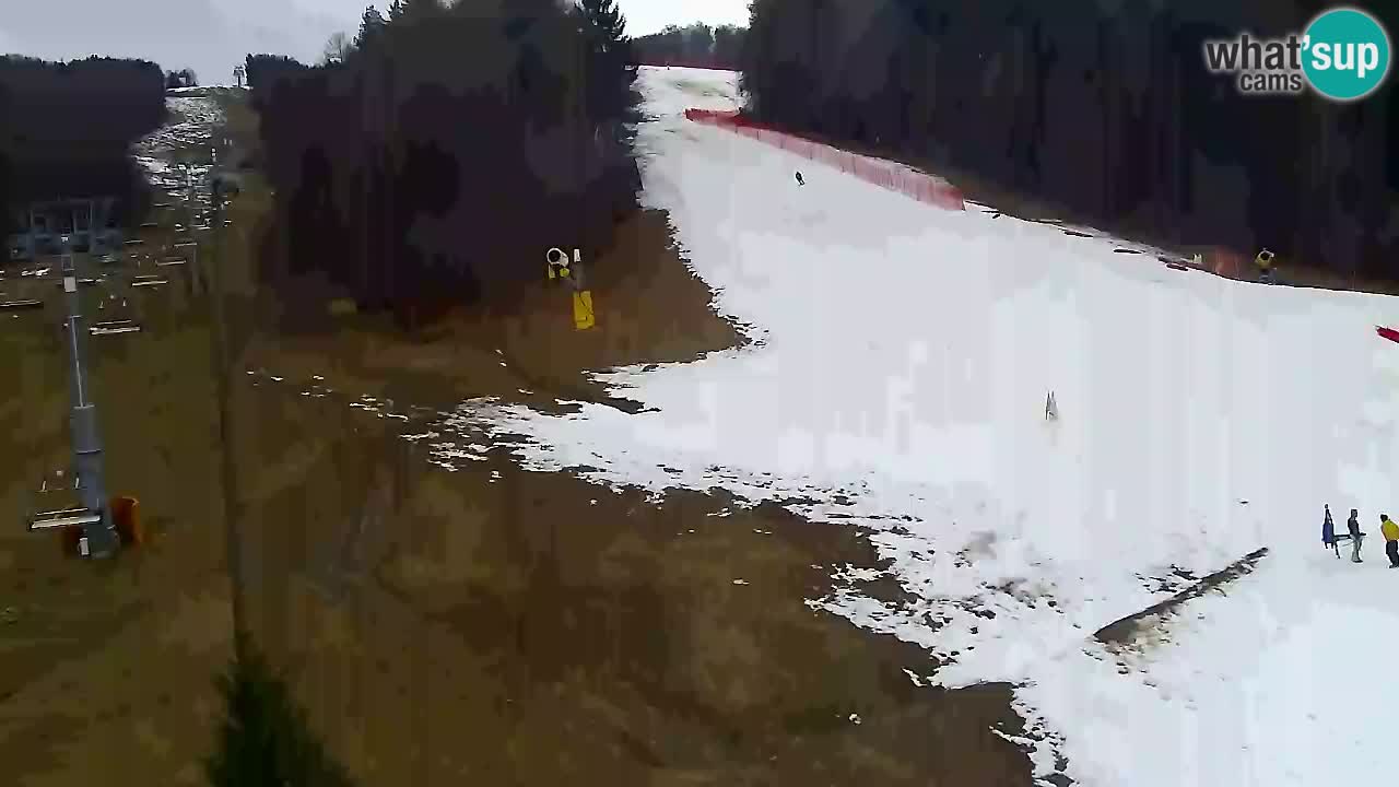 Webcam Pohorje Trikotna Jasa | Poštela