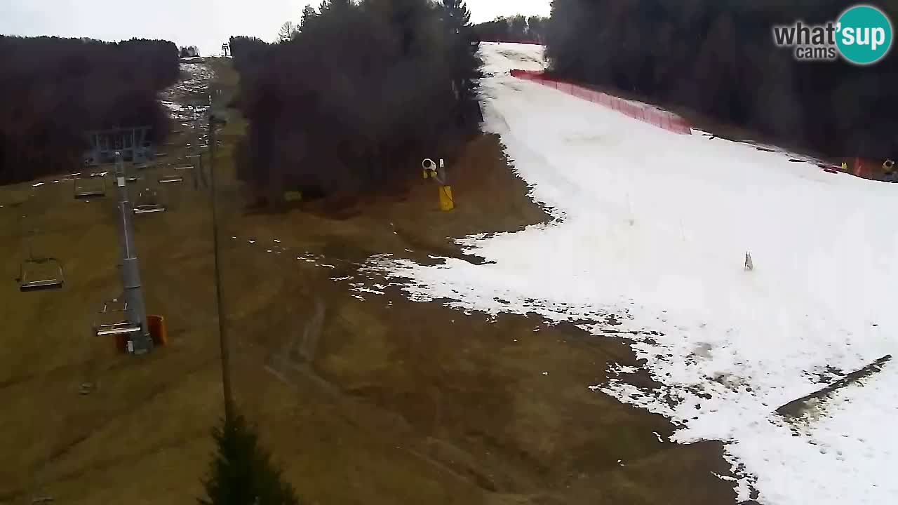 Webcam Pohorje Trikotna Jasa | Poštela