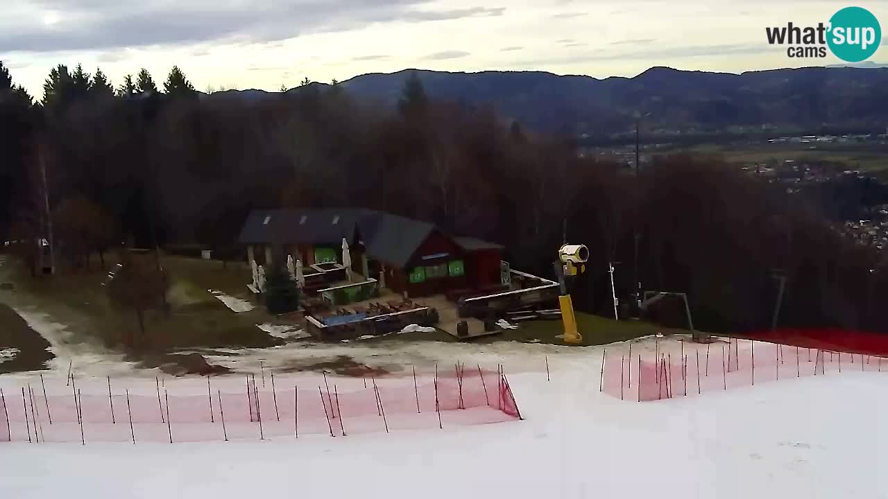 Webcam Pohorje Trikotna Jasa | Poštela