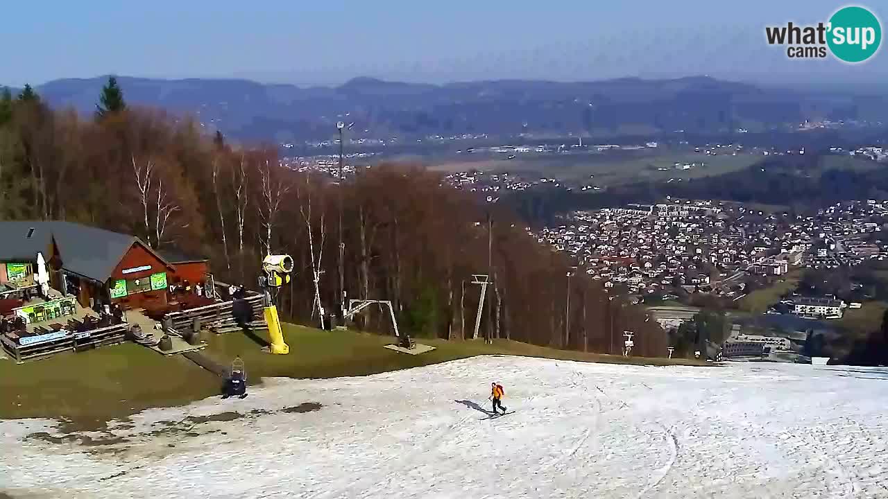 Webcam Pohorje Trikotna Jasa | Poštela