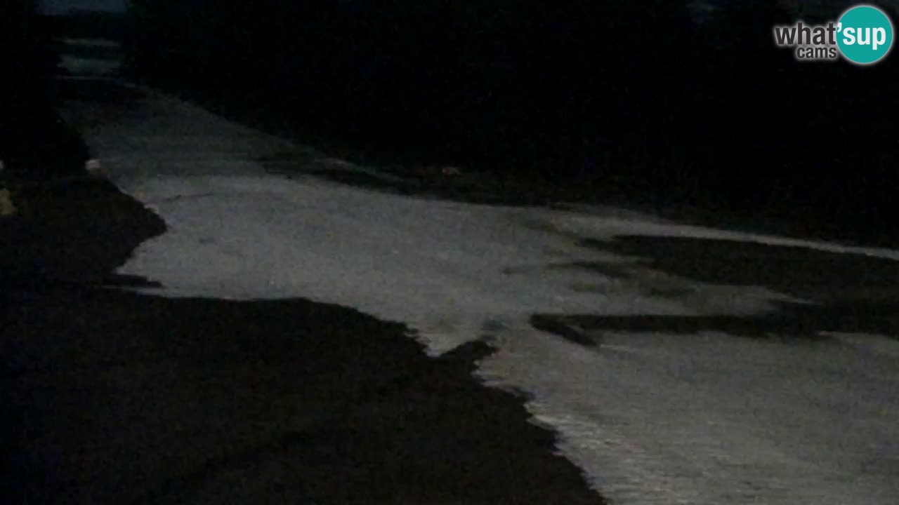 Webcam Pohorje Trikotna Jasa | Poštela