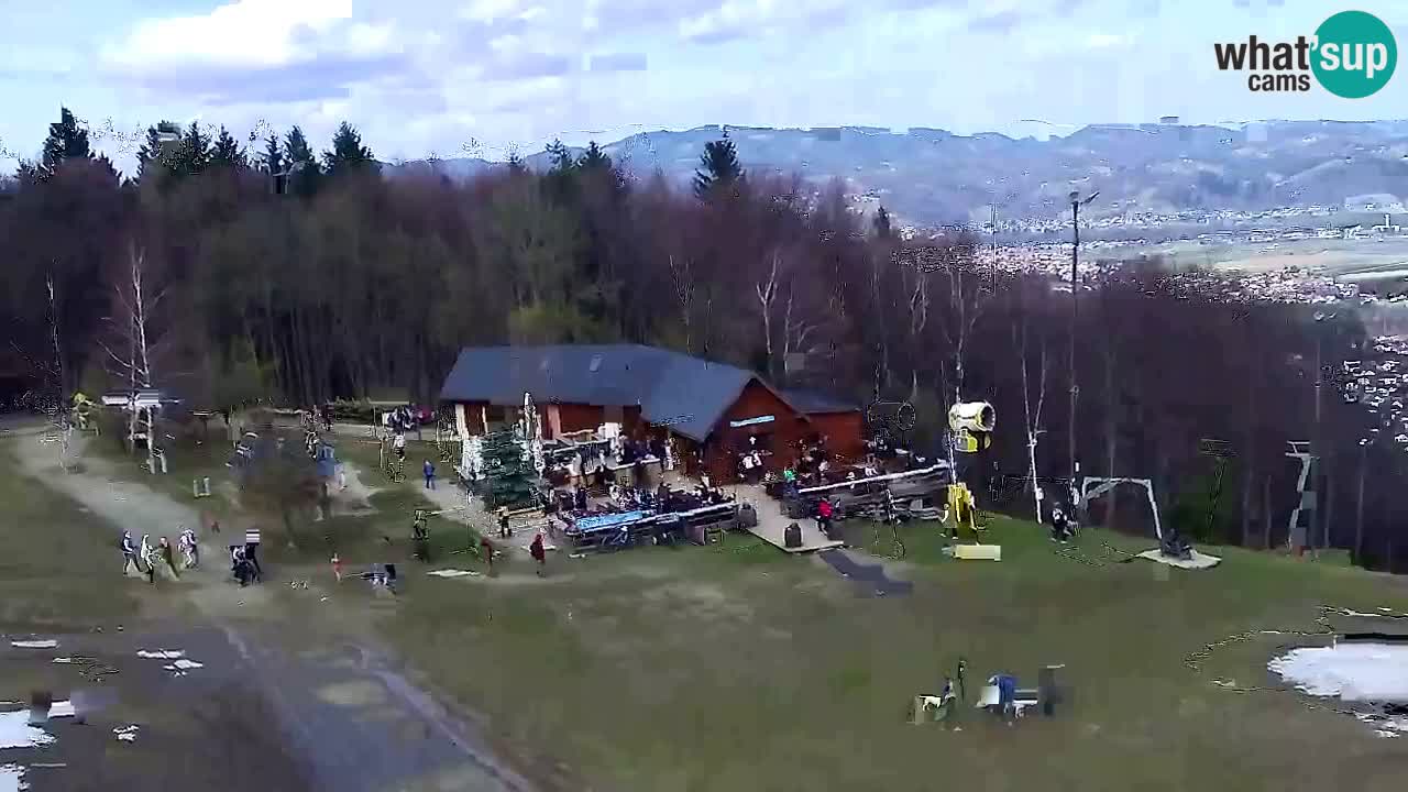 Web kamera Pohorje Trikotna Jasa | Poštela