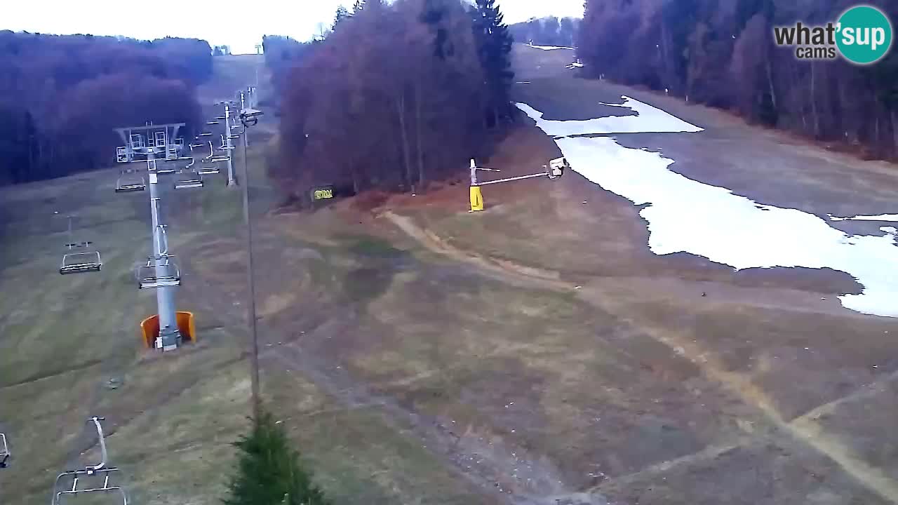 Web kamera Pohorje Trikotna Jasa | Poštela