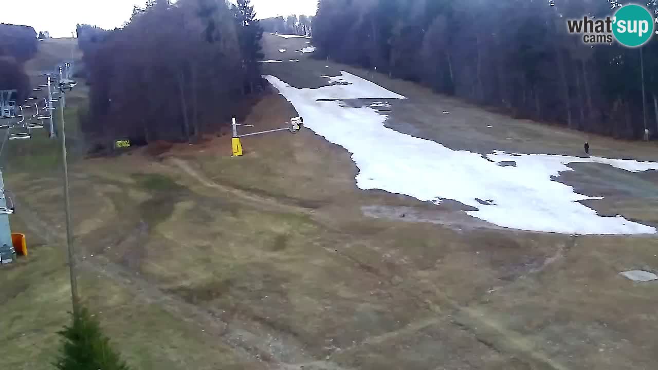 Webcam Pohorje Trikotna Jasa | Poštela