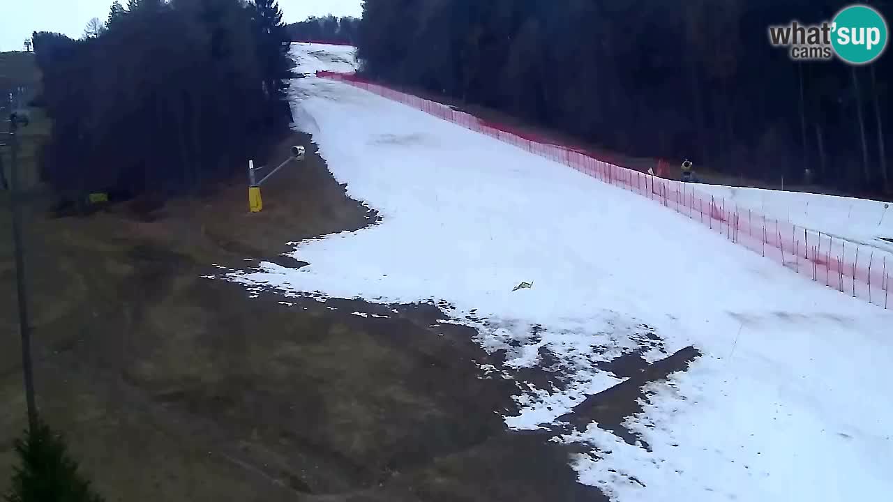 Webcam Pohorje Trikotna Jasa | Poštela