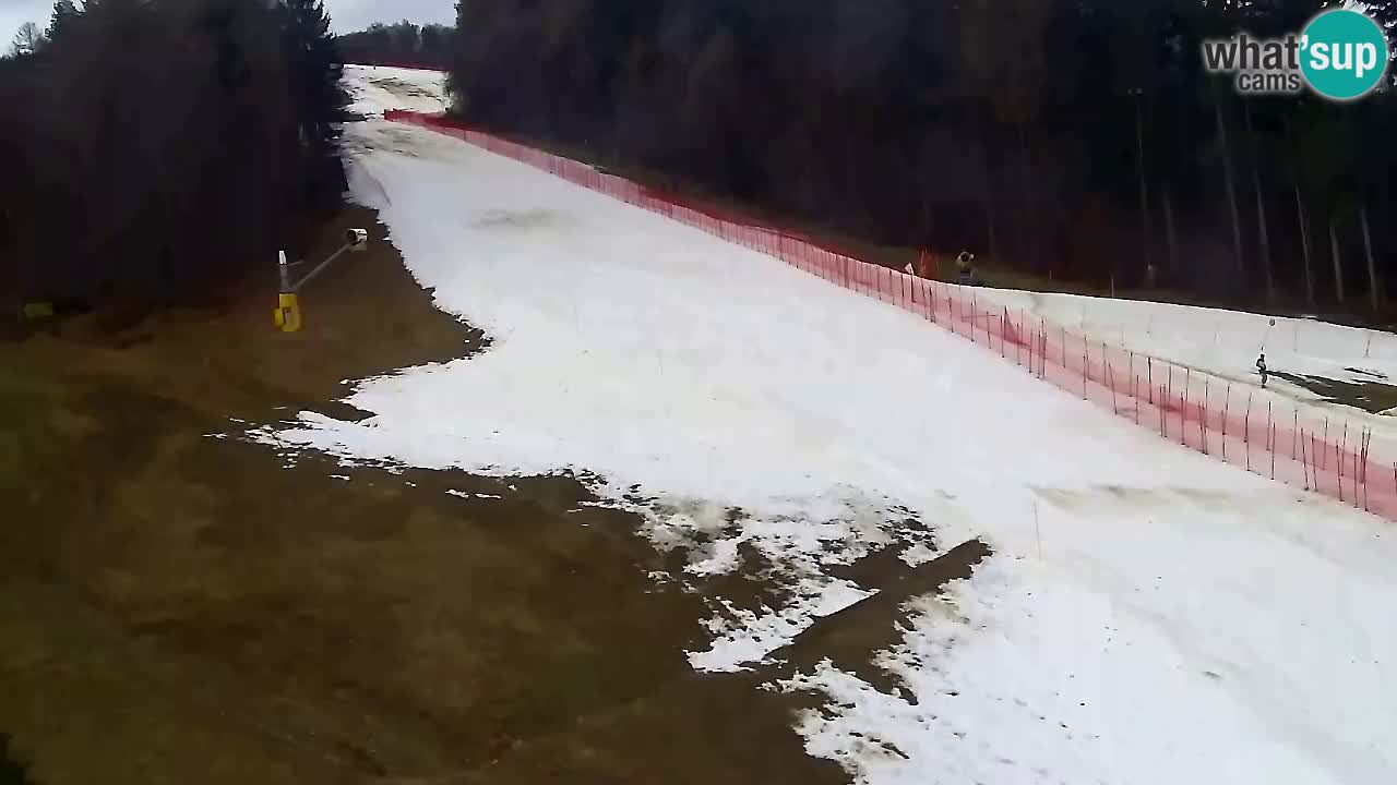 Webcam Pohorje Trikotna Jasa | Poštela