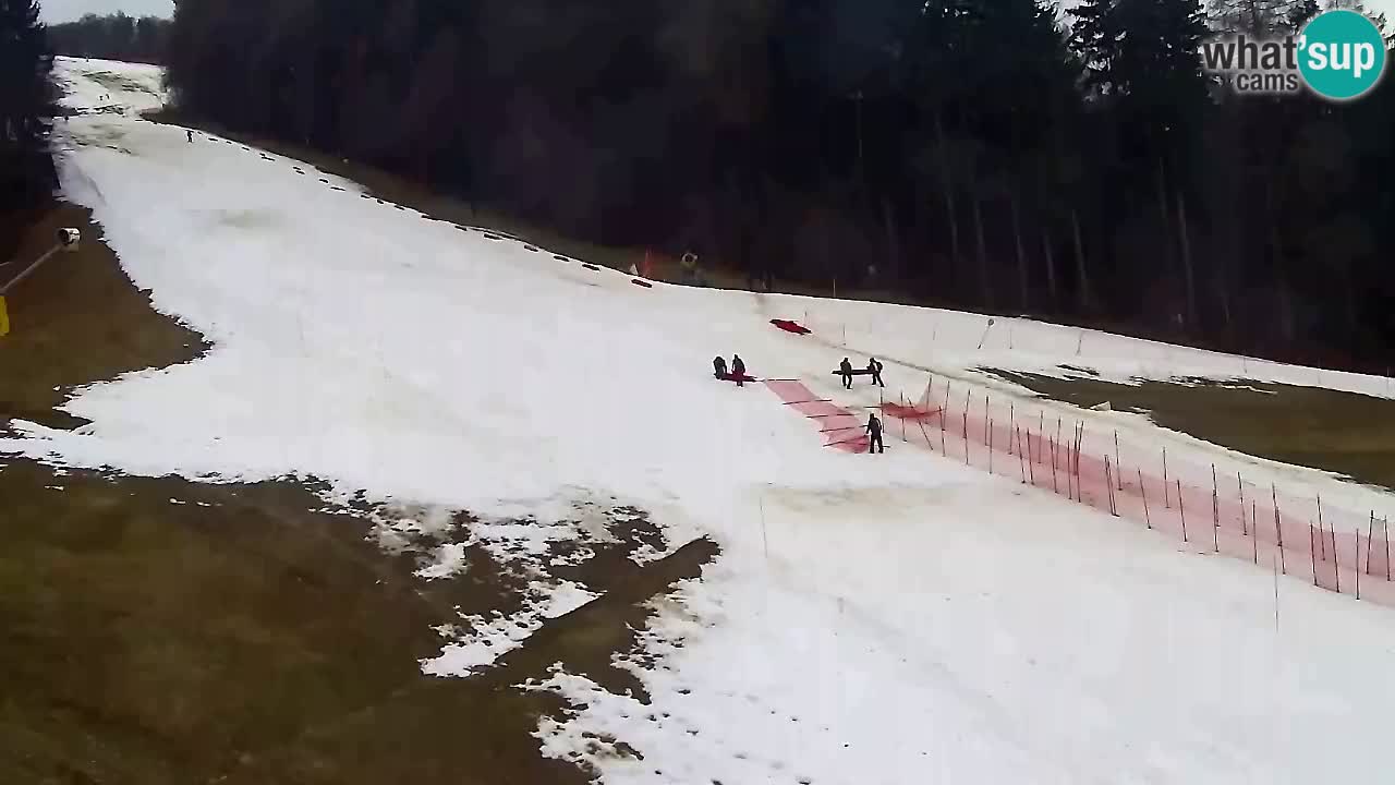 Webcam Pohorje Trikotna Jasa | Poštela