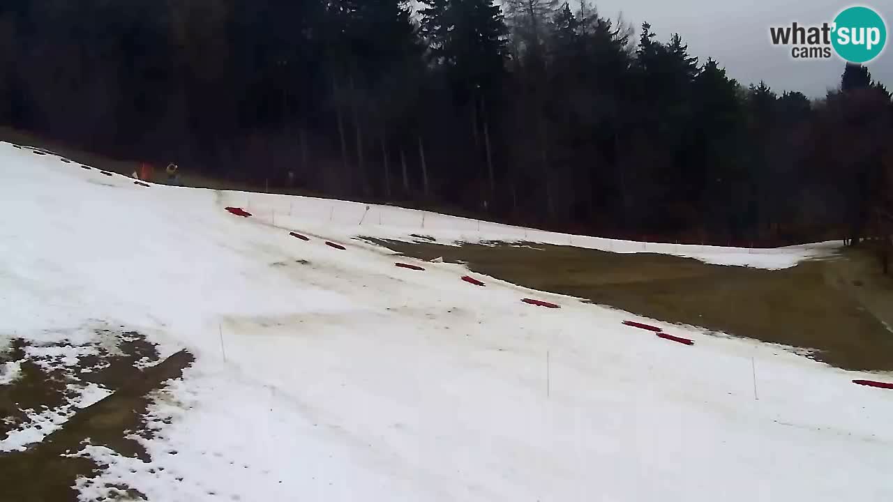 Web Camera Pohorje Trikotna Jasa | Poštela