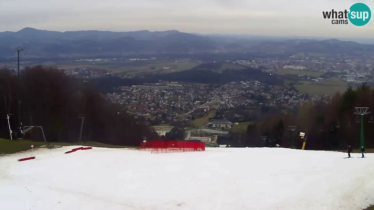Web Camera Pohorje Trikotna Jasa | Poštela