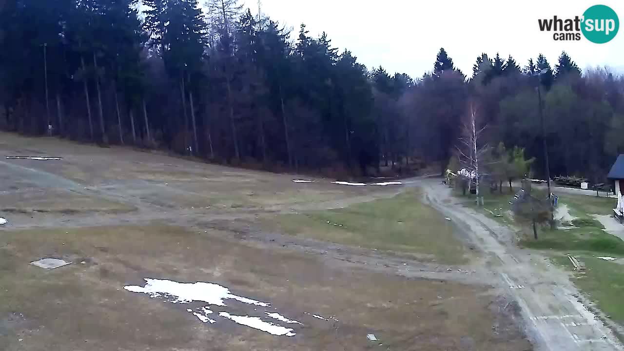 Spletna Kamera Pohorje Trikotna Jasa | Poštela