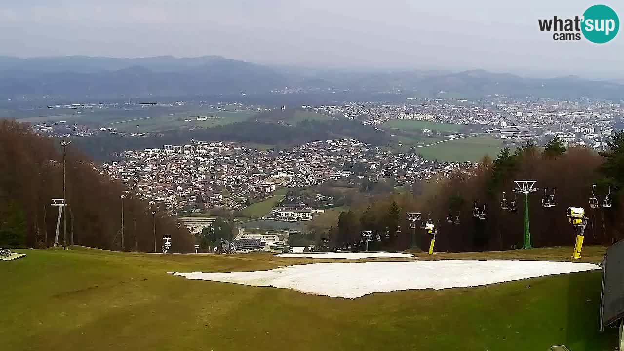 Webcam Pohorje Trikotna Jasa | Poštela