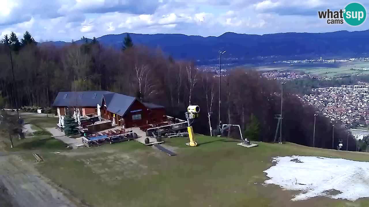 Webcam Pohorje Trikotna Jasa | Poštela