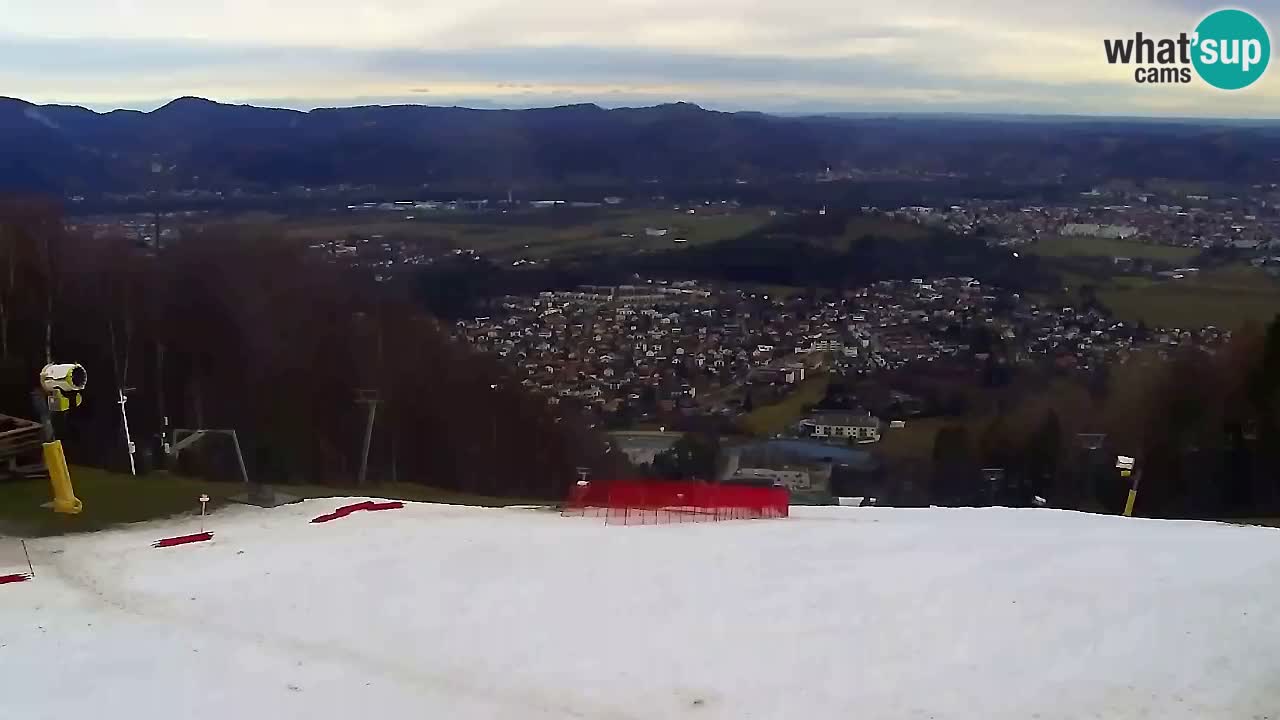 Webcam Pohorje Trikotna Jasa | Poštela