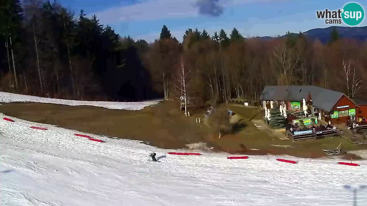 Webcam Pohorje Trikotna Jasa | Poštela