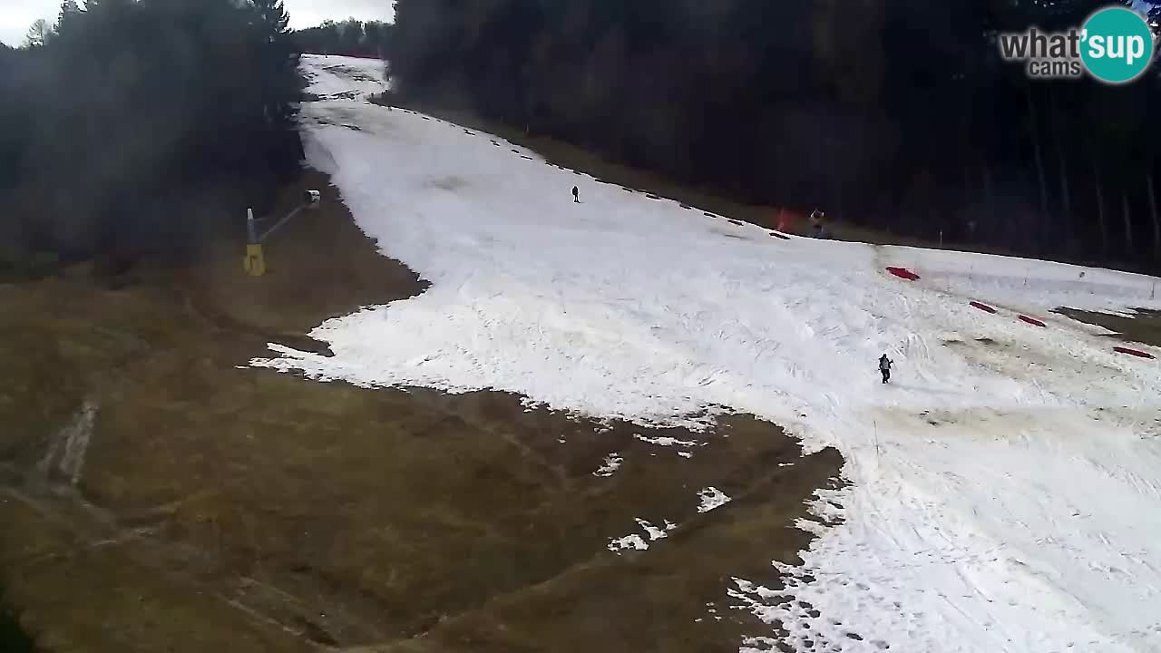 Spletna Kamera Pohorje Trikotna Jasa | Poštela