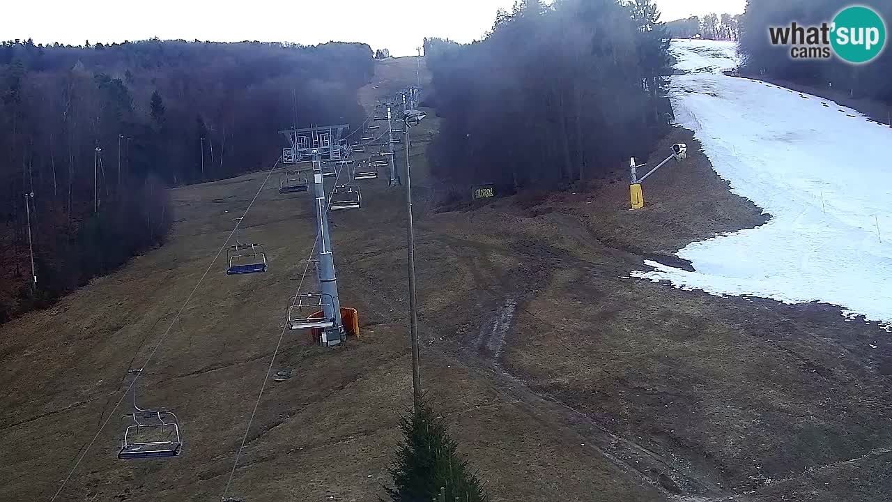 Web Camera Pohorje Trikotna Jasa | Poštela