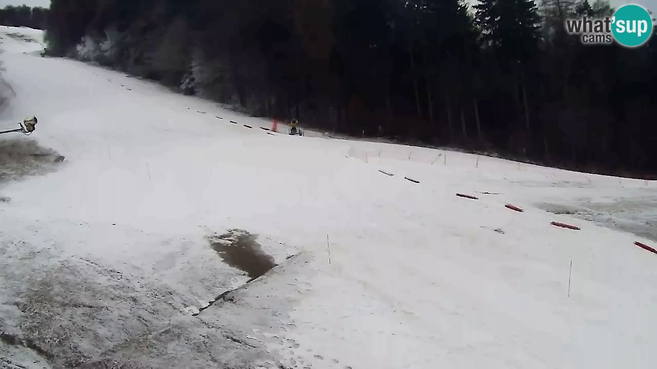 Spletna Kamera Pohorje Trikotna Jasa | Poštela