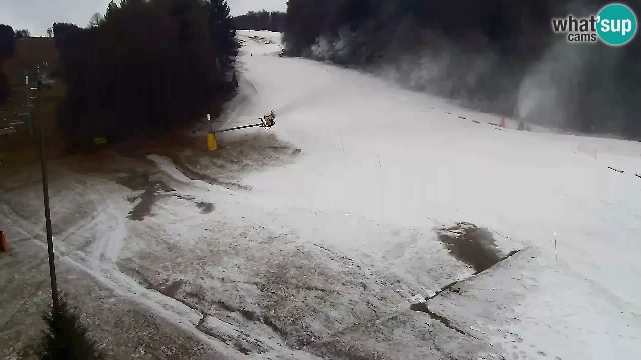 Webcam Pohorje Trikotna Jasa | Poštela