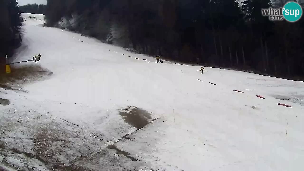 Spletna Kamera Pohorje Trikotna Jasa | Poštela