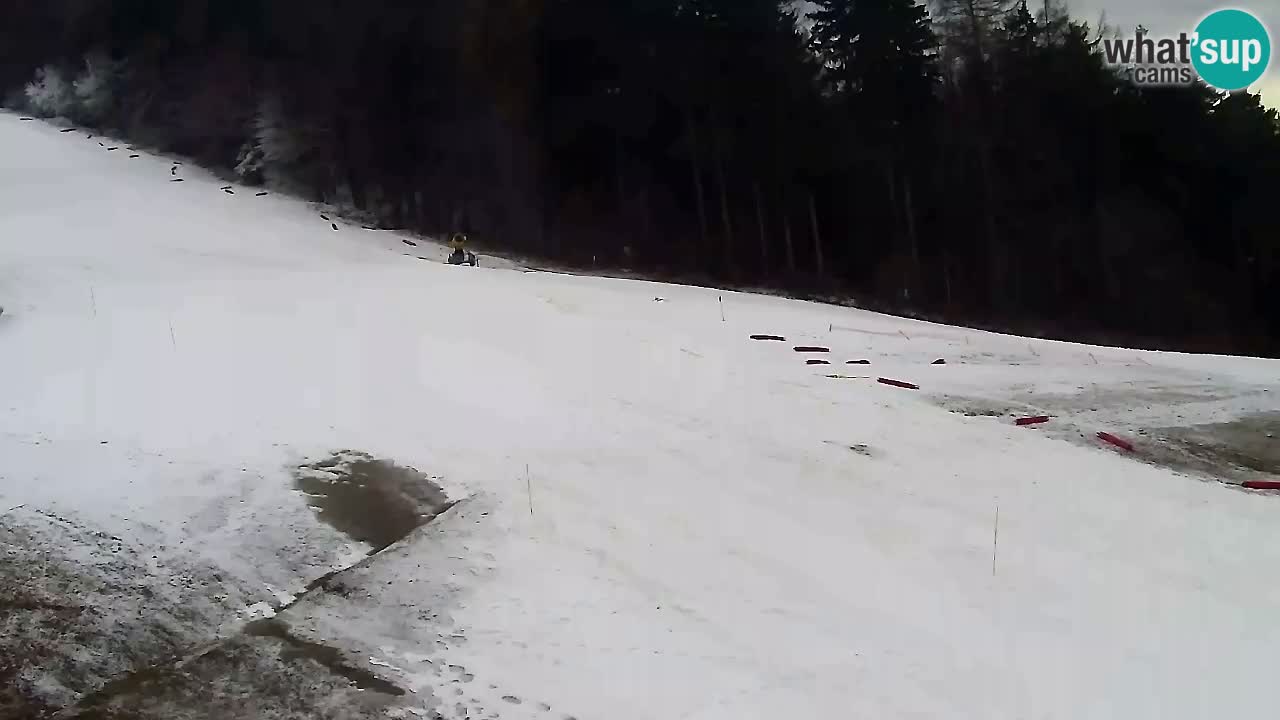 Webcam Pohorje Trikotna Jasa | Poštela