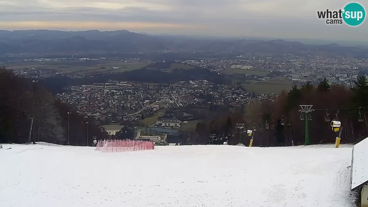 Webcam Pohorje Trikotna Jasa | Poštela