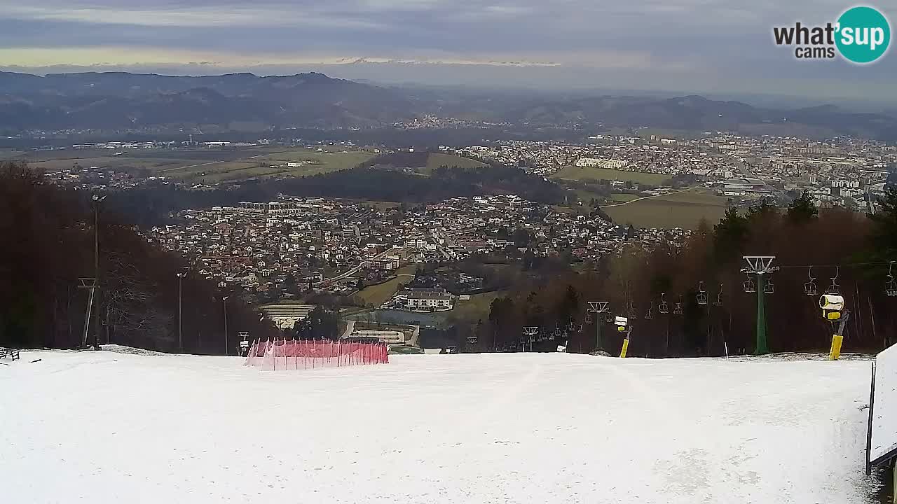 Webcam Pohorje Trikotna Jasa | Poštela