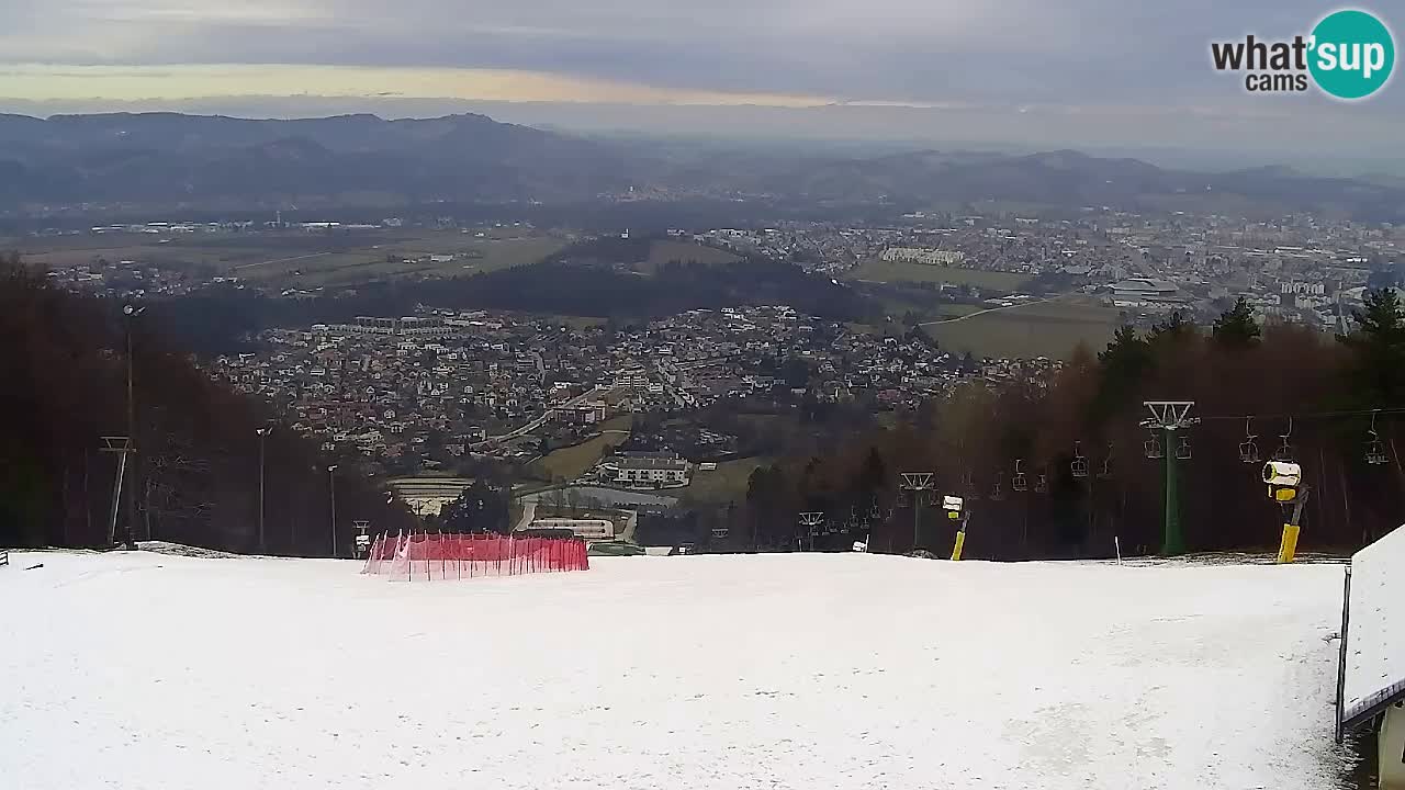 Webcam Pohorje Trikotna Jasa | Poštela