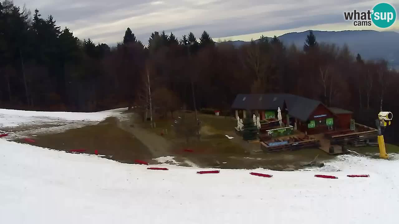 Webcam Pohorje Trikotna Jasa | Poštela