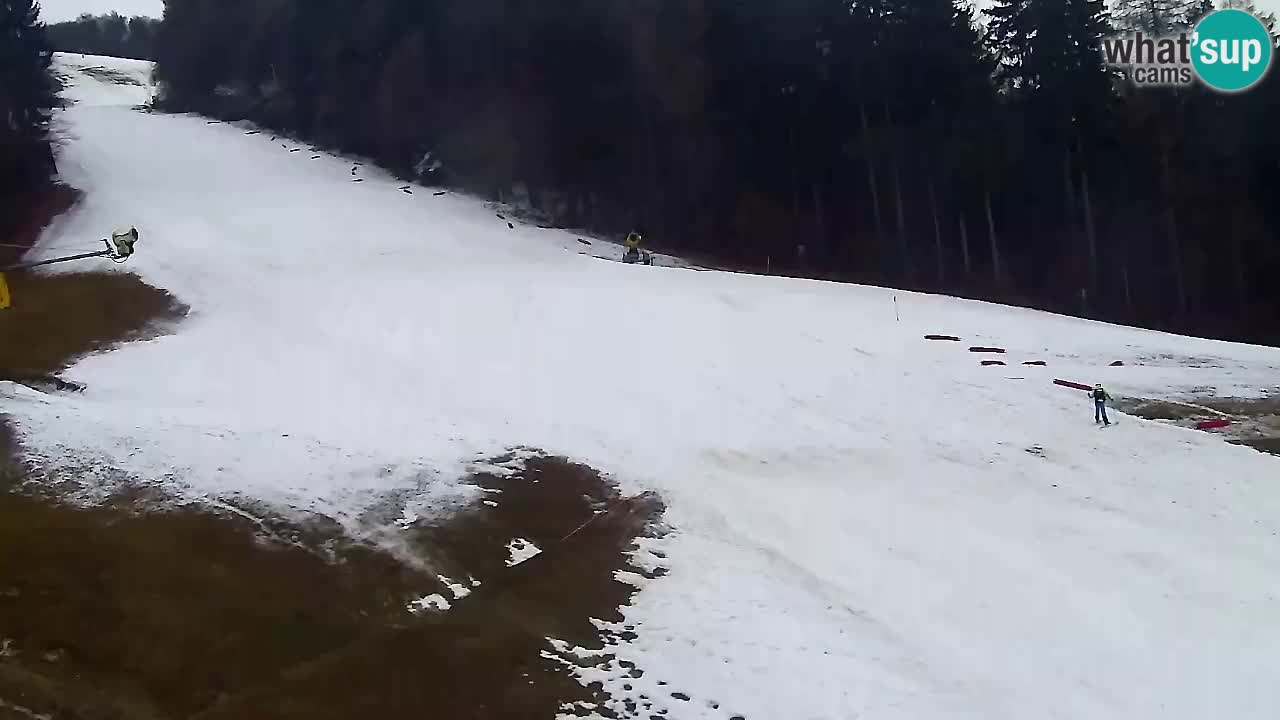 Webcam Pohorje Trikotna Jasa | Poštela