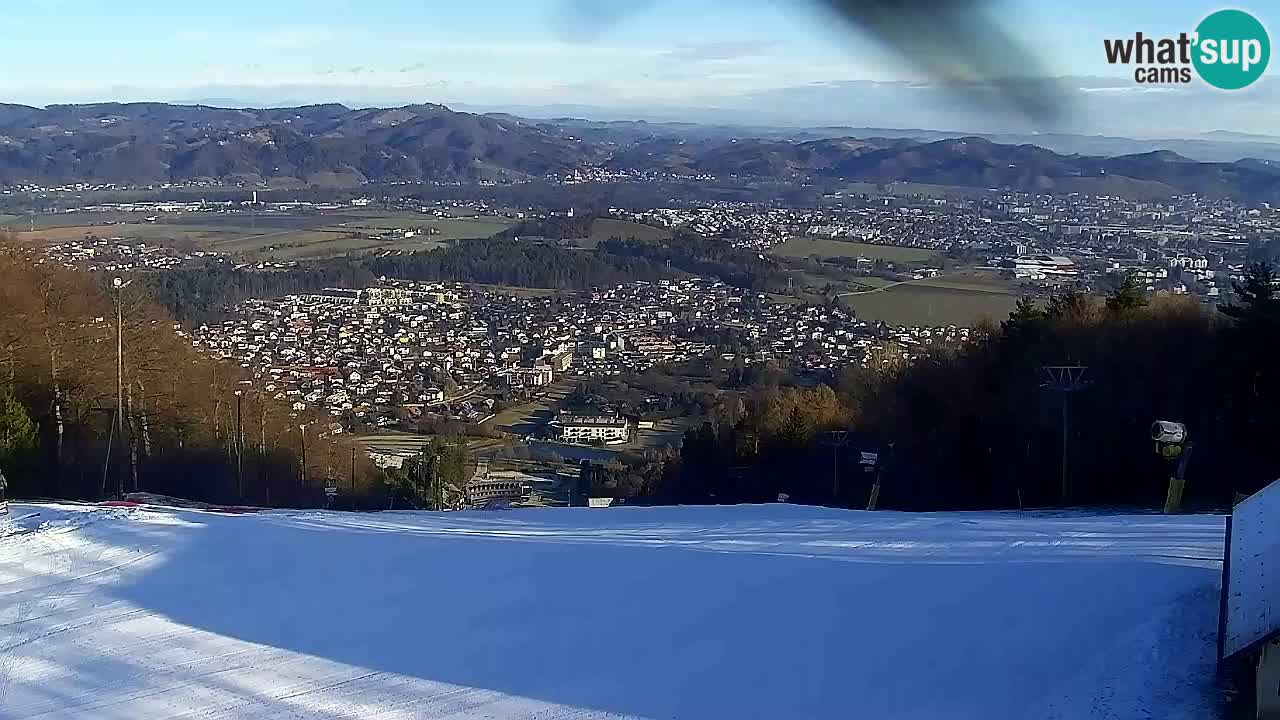 Webcam Pohorje Trikotna Jasa | Poštela