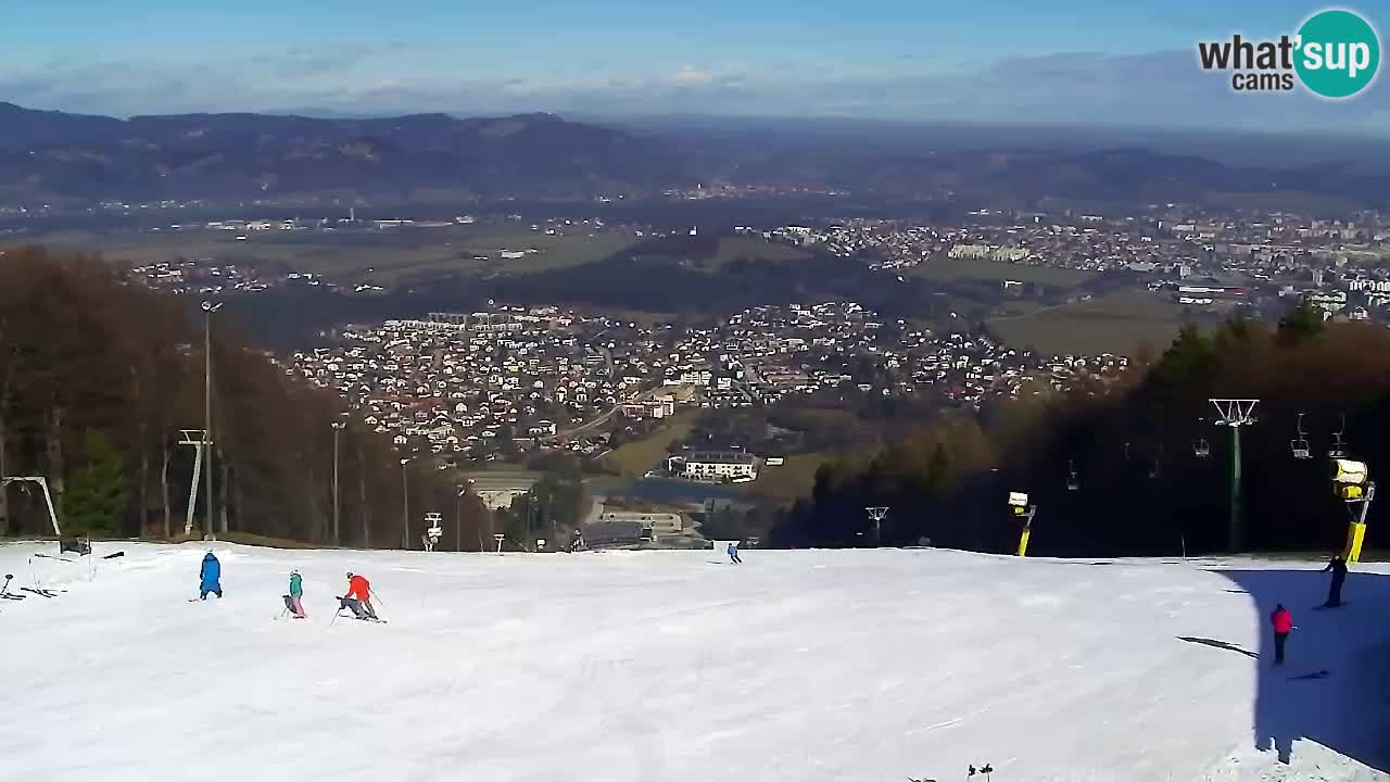 Webcam Pohorje Trikotna Jasa | Poštela
