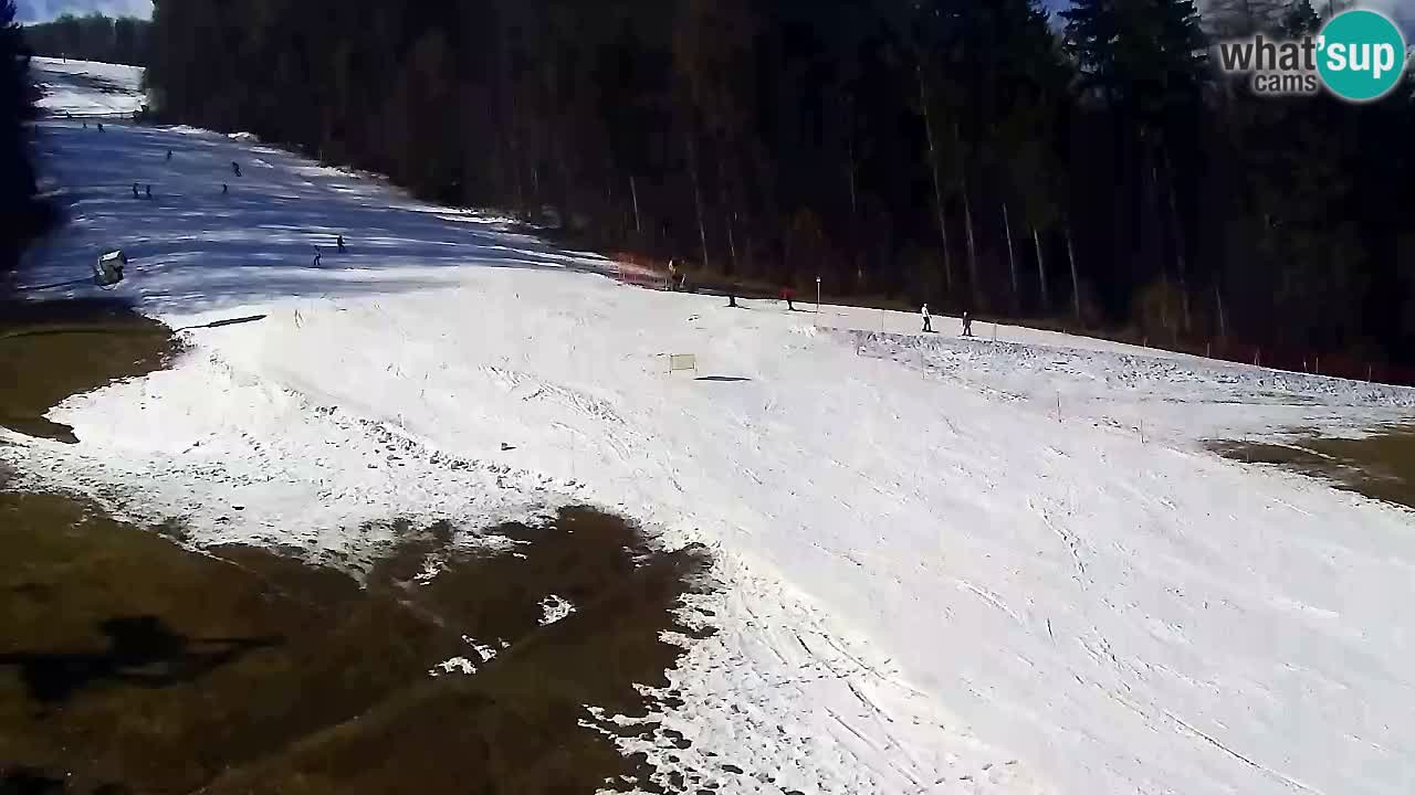 Webcam Pohorje Trikotna Jasa | Poštela