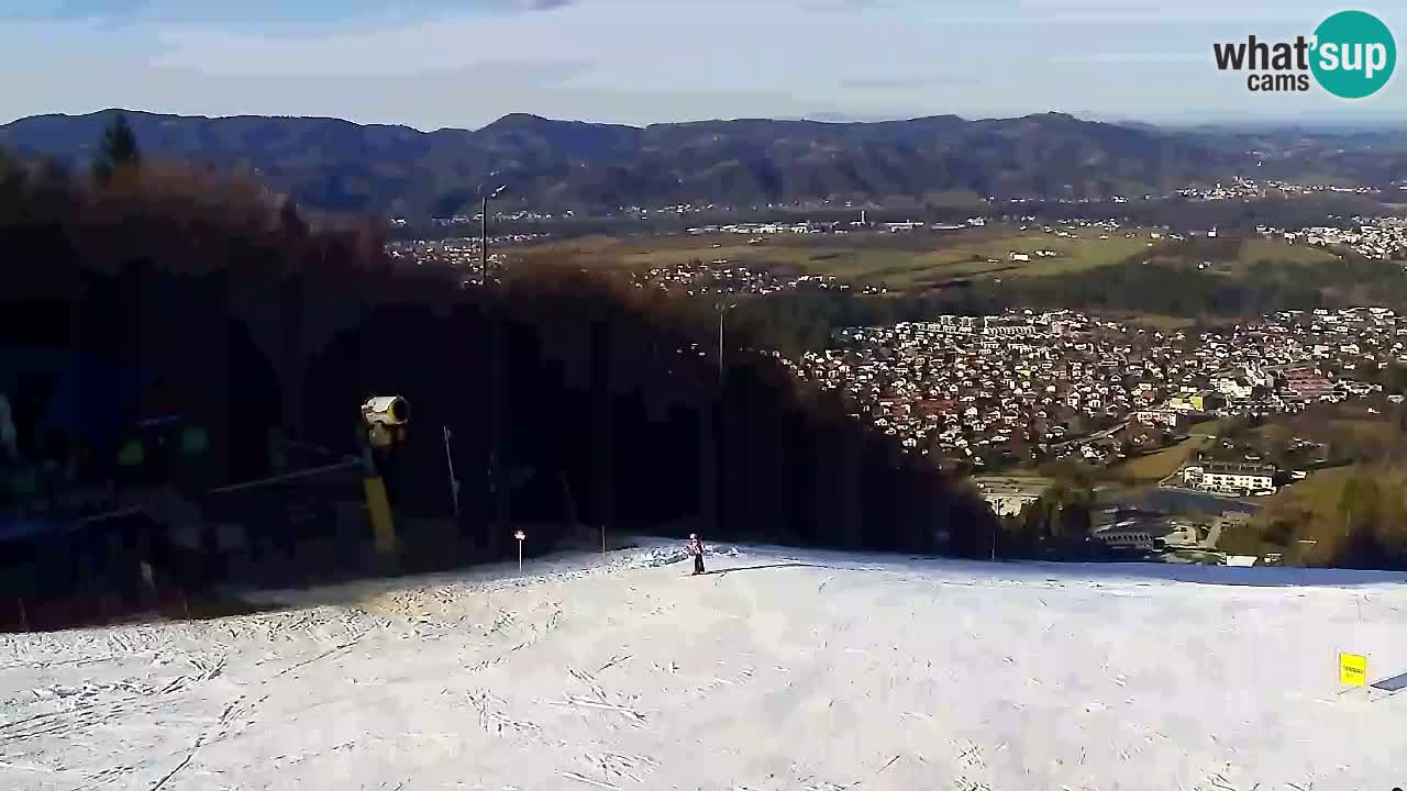 Web kamera Pohorje Trikotna Jasa | Poštela