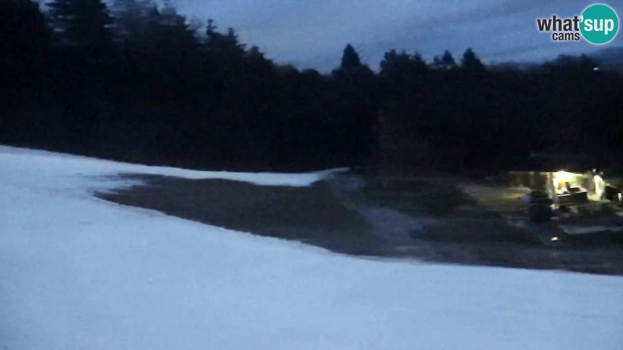 Webcam Pohorje Trikotna Jasa | Poštela