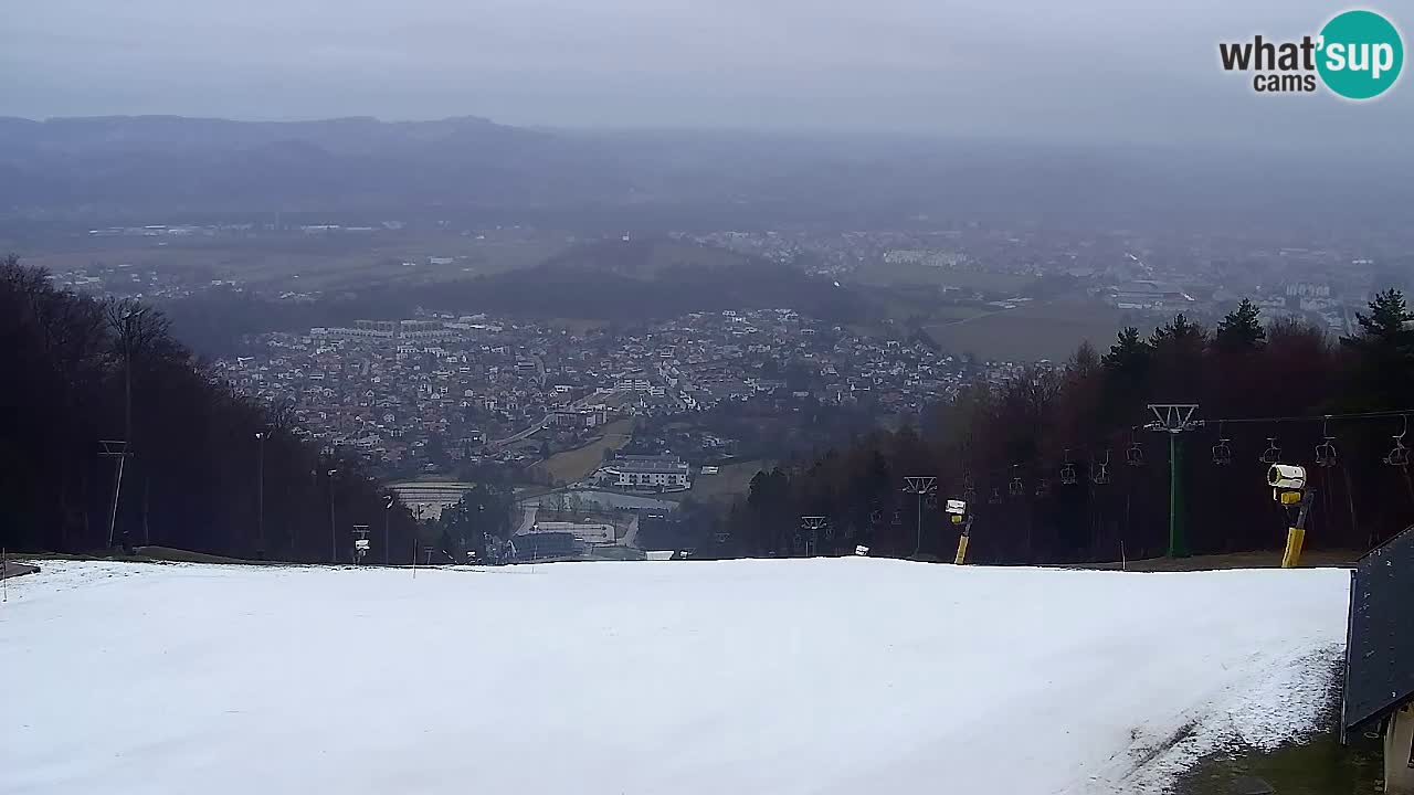 Web kamera Pohorje Trikotna Jasa | Poštela