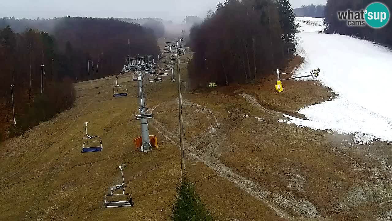 Web kamera Pohorje Trikotna Jasa | Poštela