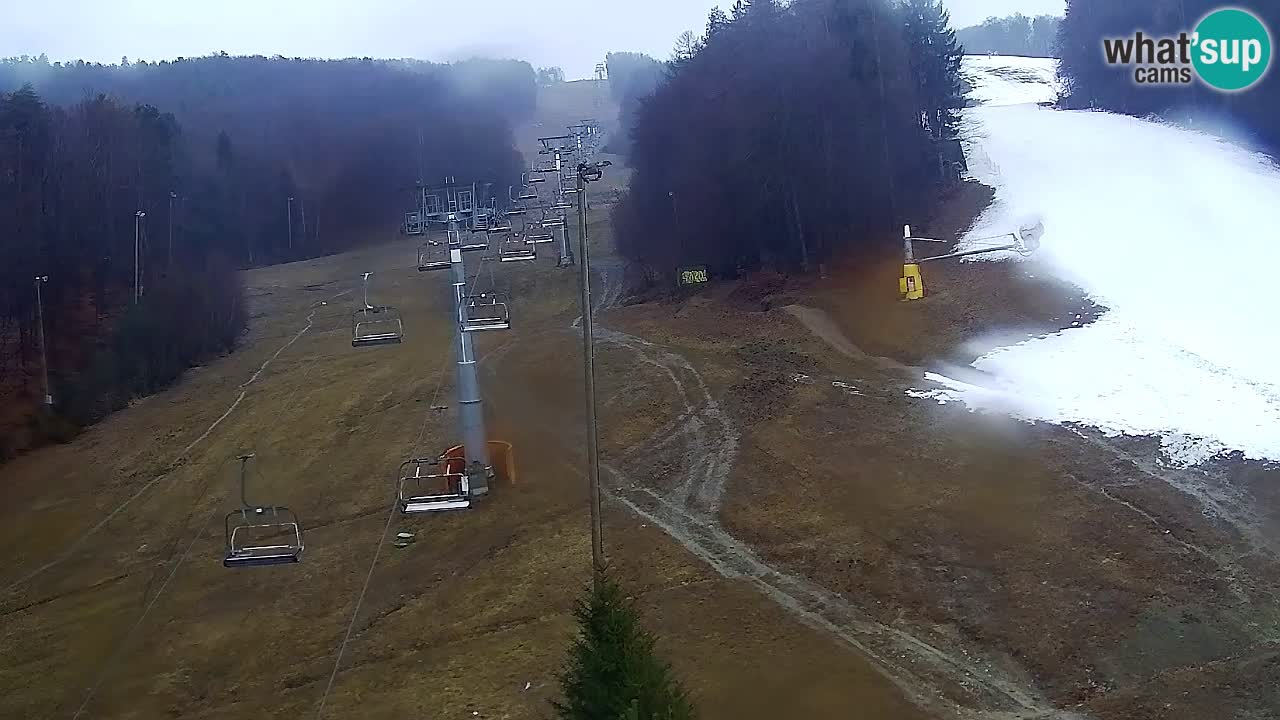 Web kamera Pohorje Trikotna Jasa | Poštela