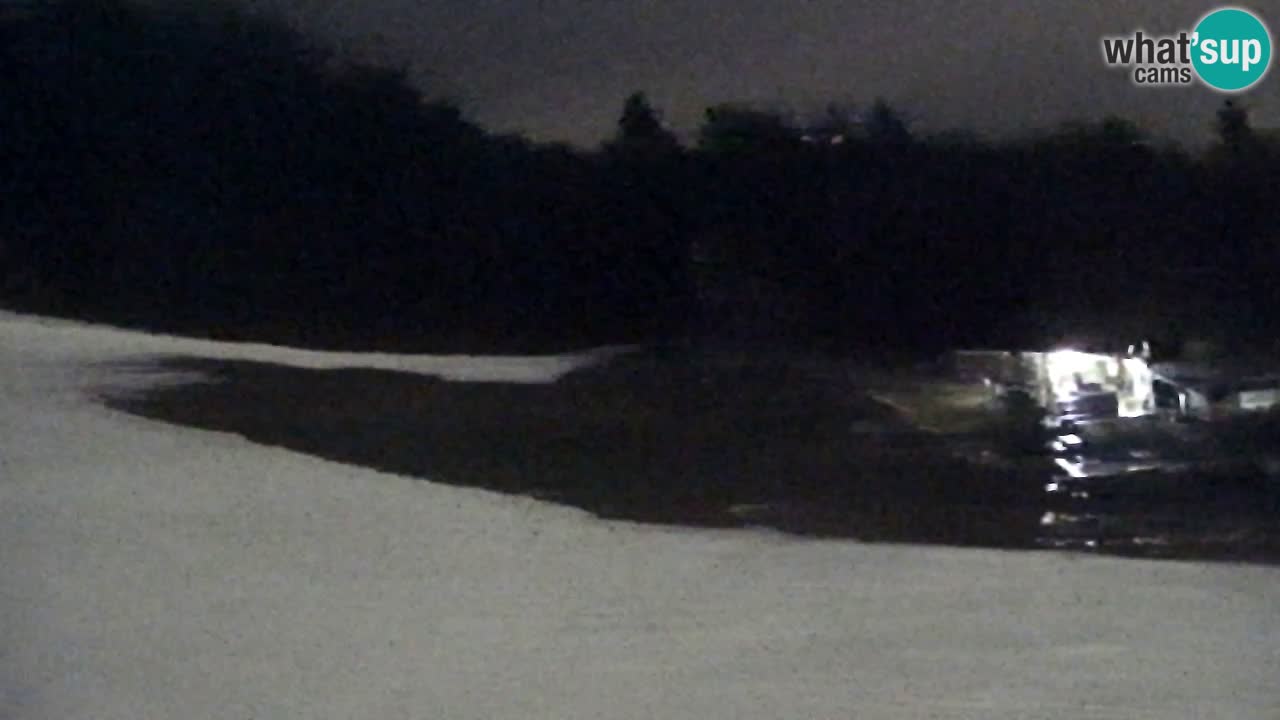 Web Camera Pohorje Trikotna Jasa | Poštela