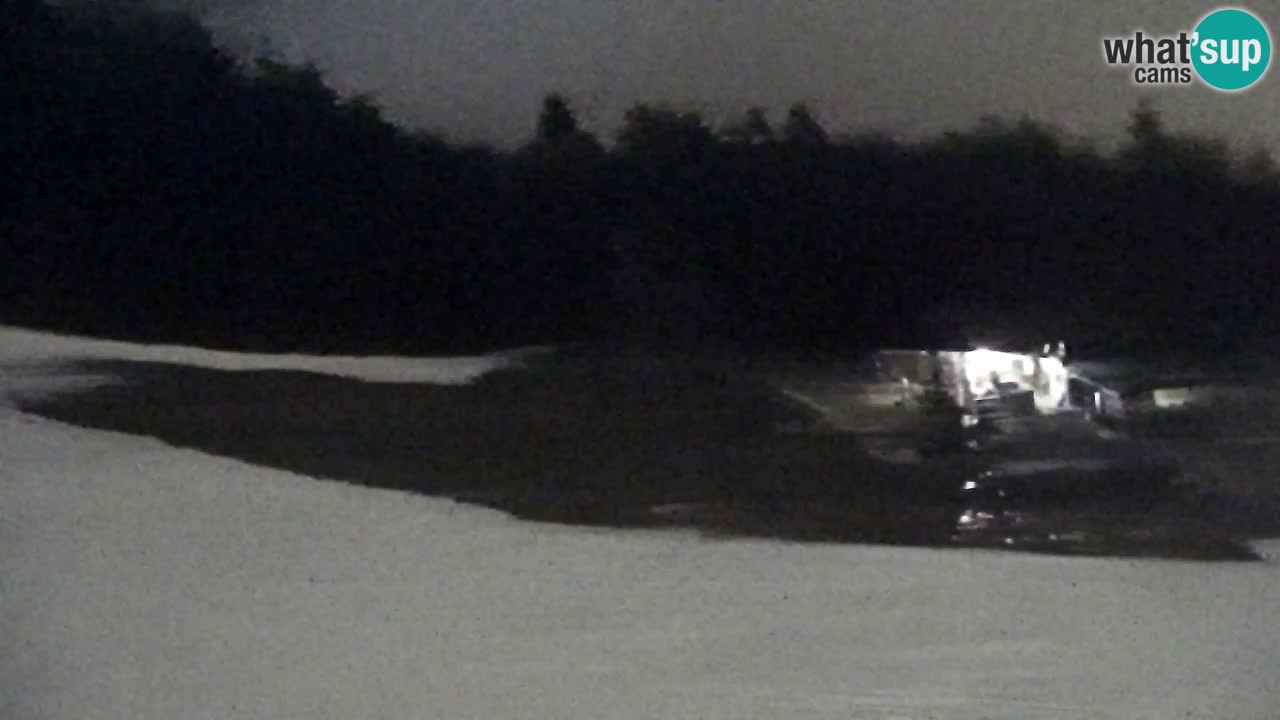 Web Camera Pohorje Trikotna Jasa | Poštela