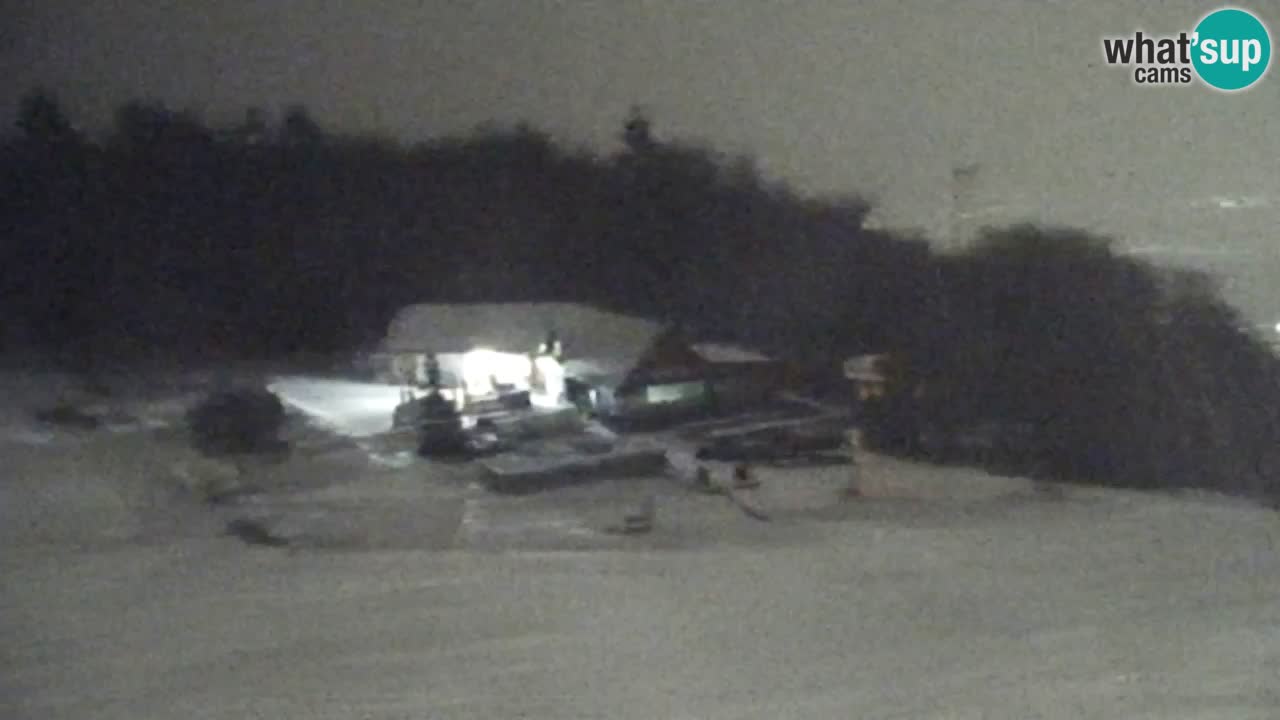 Web kamera Pohorje Trikotna Jasa | Poštela