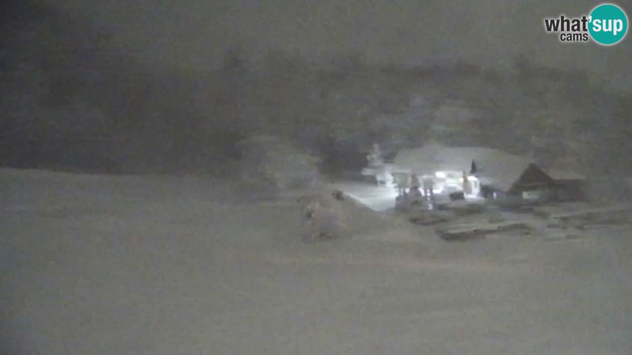 Webcam Pohorje Trikotna Jasa | Poštela