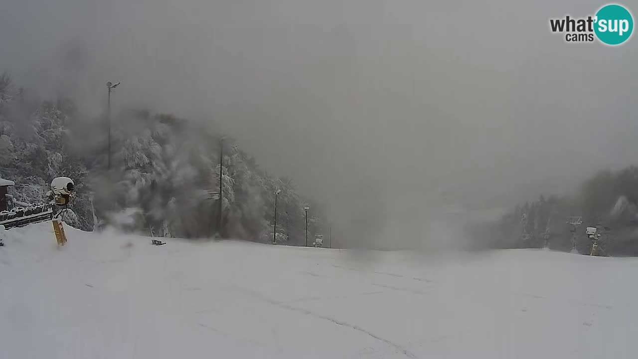 Web Camera Pohorje Trikotna Jasa | Poštela