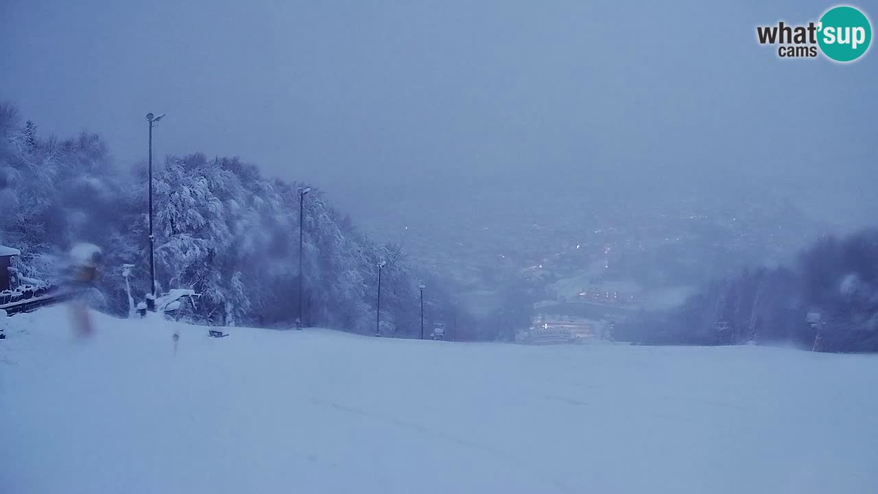 Web Camera Pohorje Trikotna Jasa | Poštela