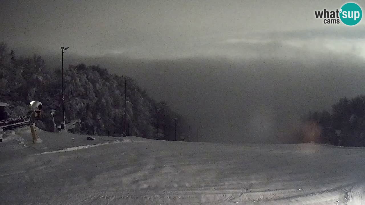 Webcam Pohorje Trikotna Jasa | Poštela