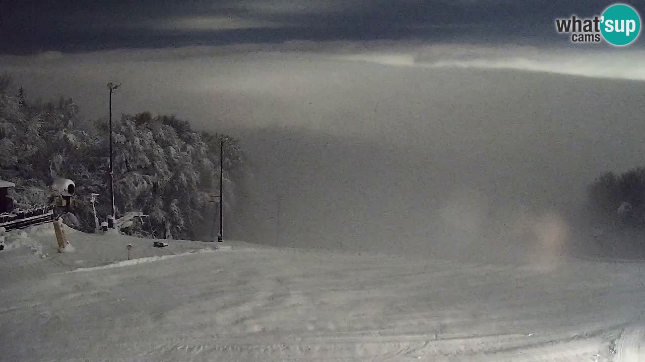 Webcam Pohorje Trikotna Jasa | Poštela