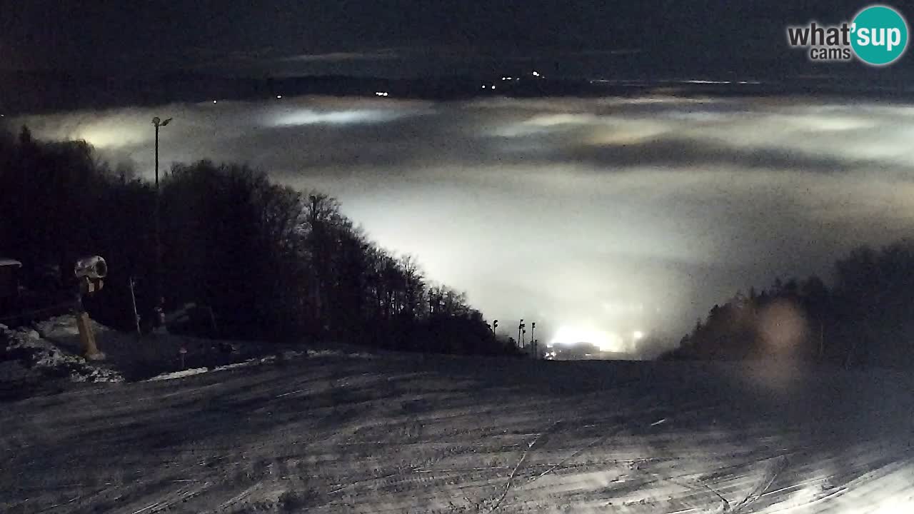 Webcam Pohorje Trikotna Jasa | Poštela